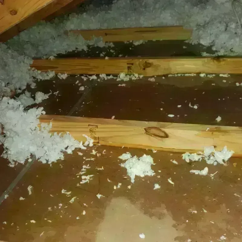 Attic Water Damage in Huguley, AL